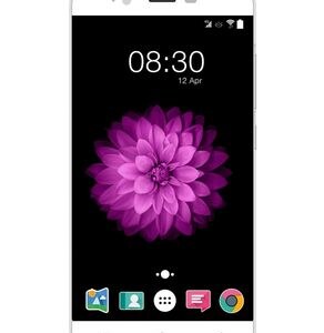 Accent Speed Y2