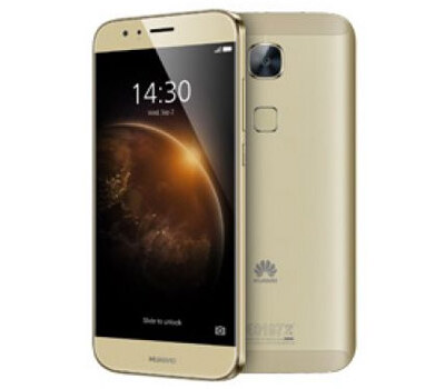 feature 1 gold