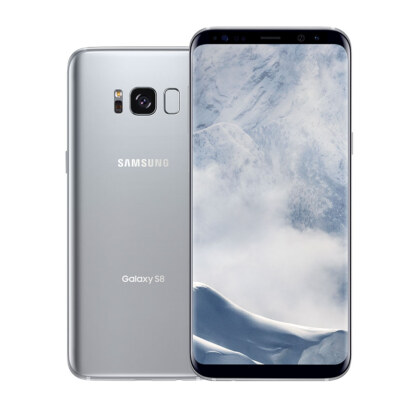 S8Plus S8 Silver LockUp rgb