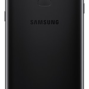 black back