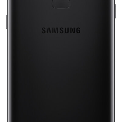 black back