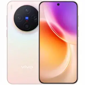 Vivo X300