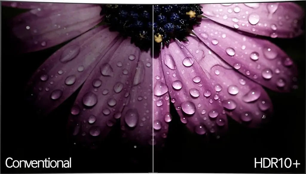 دليلك الشامل لتقنية HDR في شاشات الهواتف: الفرق بين +HDR10 وDolby Vision وHDR Vivid